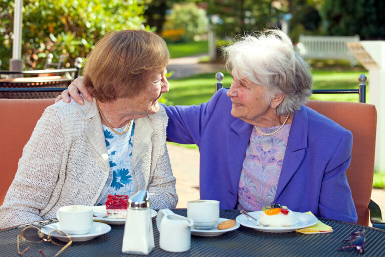 Companion Care at Home Wilton CT - Tips To Help Seniors Fight Loneliness
